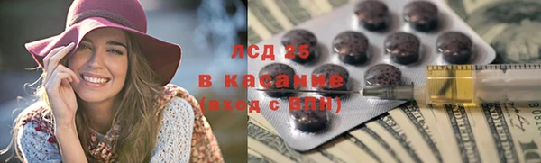 хмурый Алексин