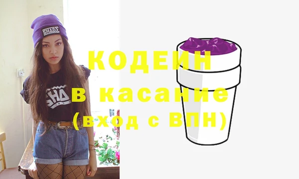 хмурый Алзамай