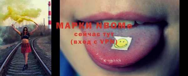 хмурый Алексин