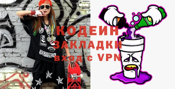 хмурый Алексин