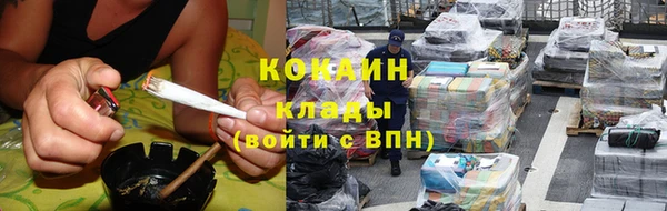 хмурый Алексин