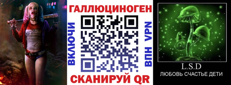 дарнет шоп  Льгов  Псилоцибиновые грибы прущие грибы 
